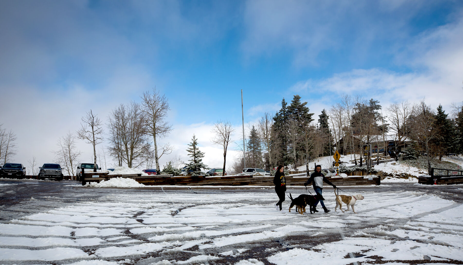 Snow in the Santa Catalina Mountains